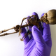 Image for article titled Is this the real story behind the Atacama 'alien' mystery?